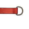 Tie 4 Safe 2" x 10' Lasso Strap w/ D Ring Auto Tie Down Wheel Lift Tow Truck Trailer Red, 4PK TWS21-510-W27-R-C-4